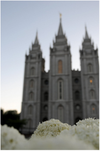 SLC temple and hydrangea (not my pic, but one I love--I want to give credit to the artist, but I've lost it. Help!