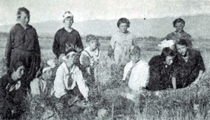 Young Women harvest grain for the Relief Society (Keepapitchin)