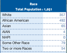 Neighborhood Race Data