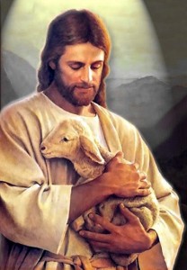 The Good Shepherd by Waiting for the World