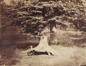 Gustave Le Gray (photographer) [French, 1820 - 1884] from the J. Paul Getty Museum