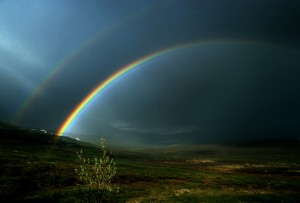 rainbow1 (2)