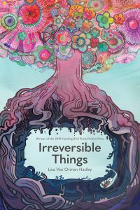 Irreversible Things cover