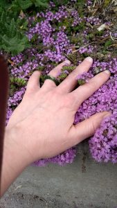 Guest Post -- My Hands: A Triad of Poems