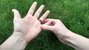 Guest Post -- My Hands: A Triad of Poems