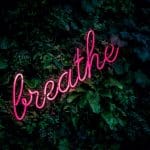 Neon pink word "breathe" over wall of green plants