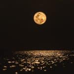 Yellow moon reflecting on dark water