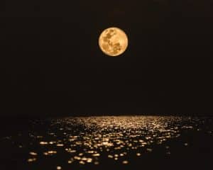 Yellow moon reflecting on dark water