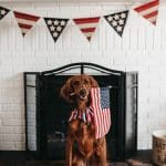 A white brick fireplace with flag bunting hung over the mantle with a brown dog holding a flag in its mouth and wearing a red, white, and blue bow-tie to demonstrate standard 4th of July holiday decor