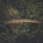 A forested hilly gap spanned by a wooden bridge