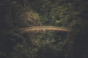 A forested hilly gap spanned by a wooden bridge