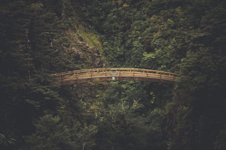 A forested hilly gap spanned by a wooden bridge