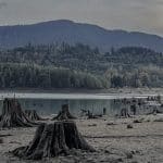 Black and white landscape with mountains and tree stumps.