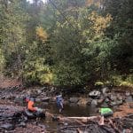 kids playing in woods