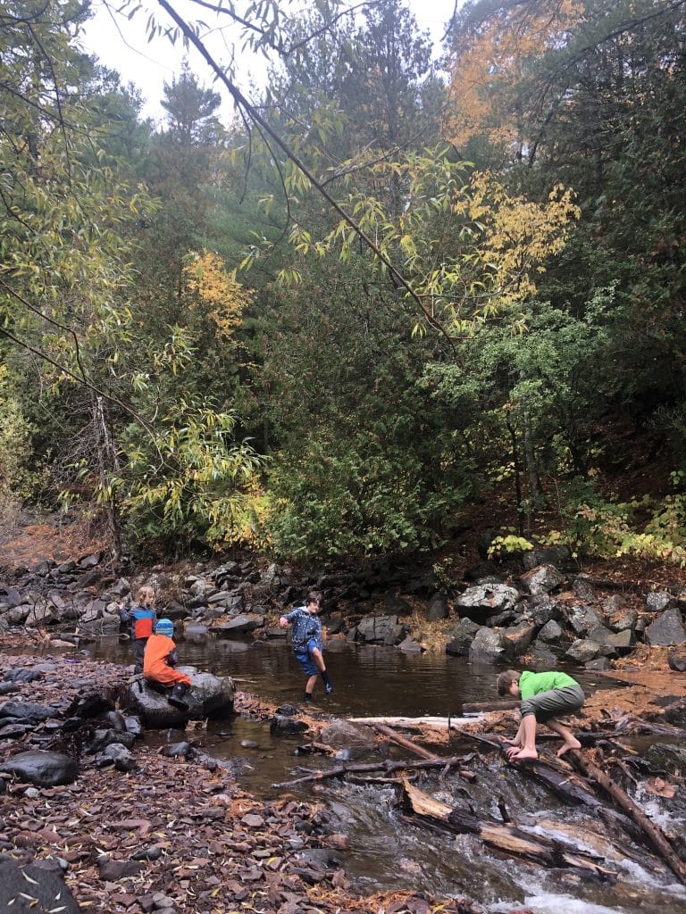 kids playing in woods