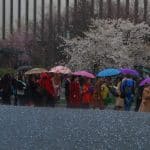 Ordain women supporters in the rain outside the Conference Center in Aprirl 2014