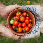 Two people holding a bowl of fresh tomatoes from a garden