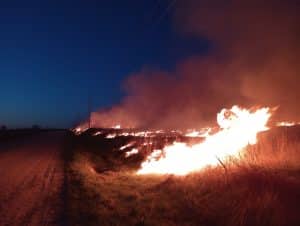 Burning fire on side of road