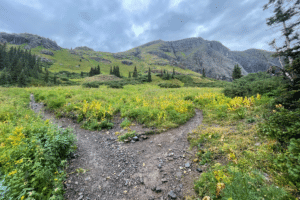 Two paths going left and right in the forest. If you take one and not the other, are you going astray?