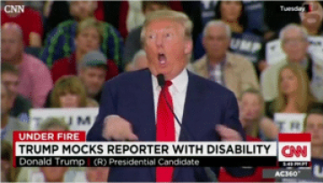 Donald-Trump-mocks-reporter-with-disability-300x170-2