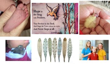 Hope-a-thing-with-feathers