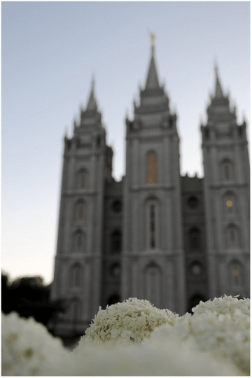 SLC-temple-and-hydrangea