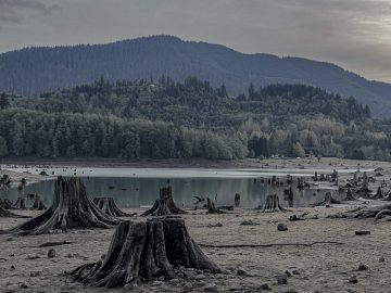 Black and white landscape with mountains and tree stumps.