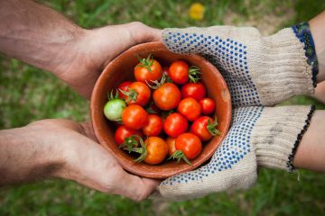 Two people holding a bowl of fresh tomatoes from a garden