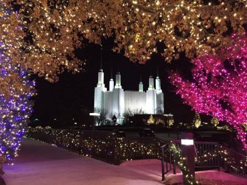 woman leaders in the LDS church work in axilliaries that do not address women's concerns about the temple